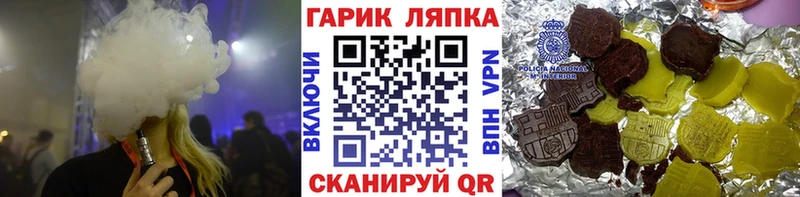 ГАШ Изолятор  купить закладку  Старица 