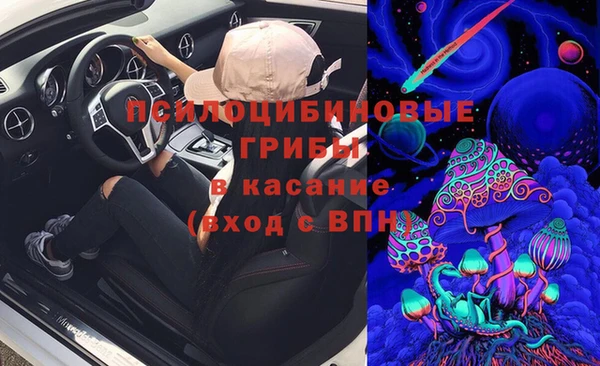 спайс Богородск