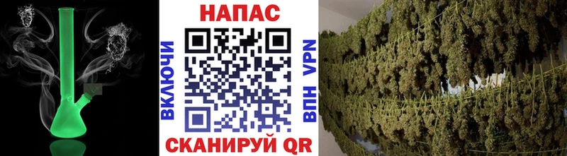Шишки марихуана Ganja hydra ТОР Старица